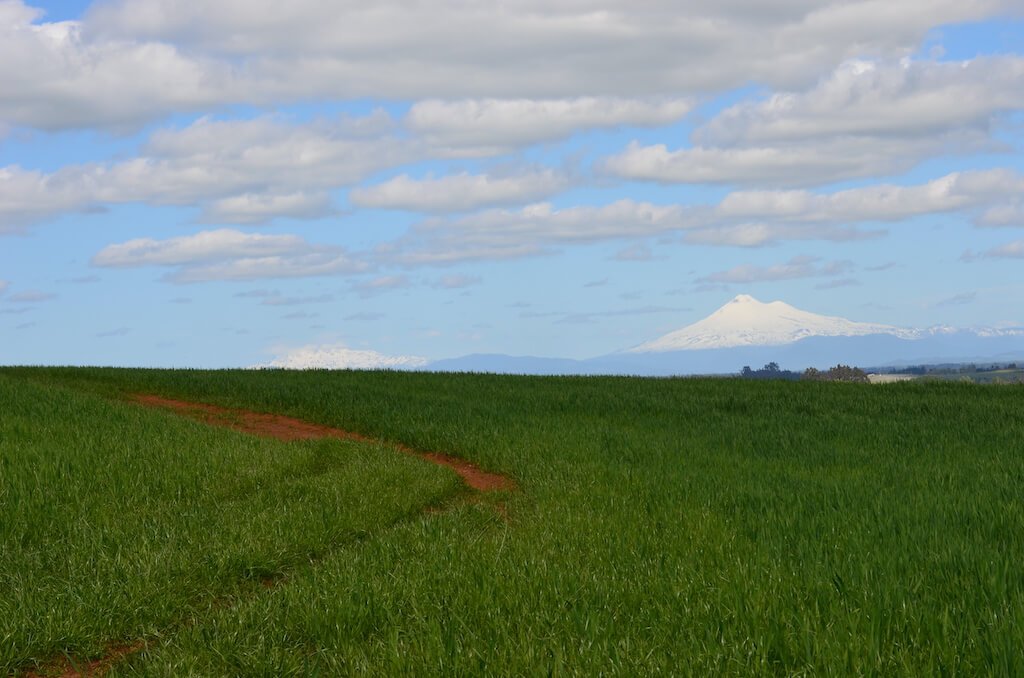 Vista a volcanes desde Parcelas Vista Volcanes