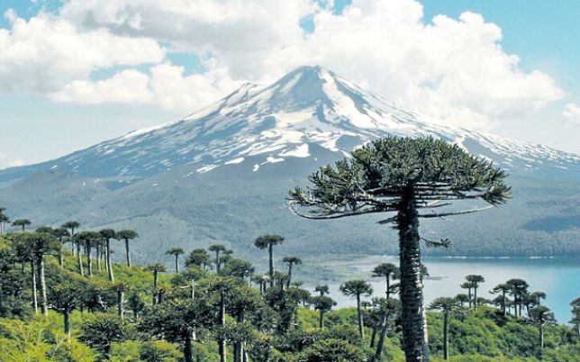 Volcan gigante Parcelas Vista Volcanes